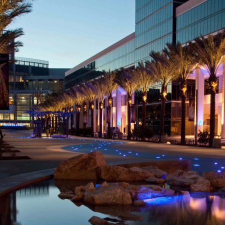 commercial-outdoor-lighting-tree-img commercial-outdoor-lighting-tree-img
